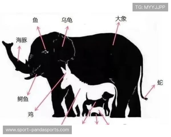 通过发型识别足球巨星挑战赛一起来测试你的眼力与足球知识